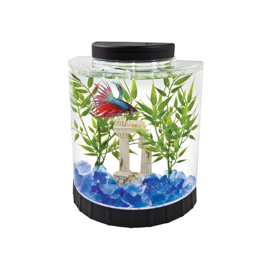 Tetra 1.1 Gallon Half Moon Fish Tank w/ Movable LED Light, Fish Tank for Betta, Aquarium Starter Kit