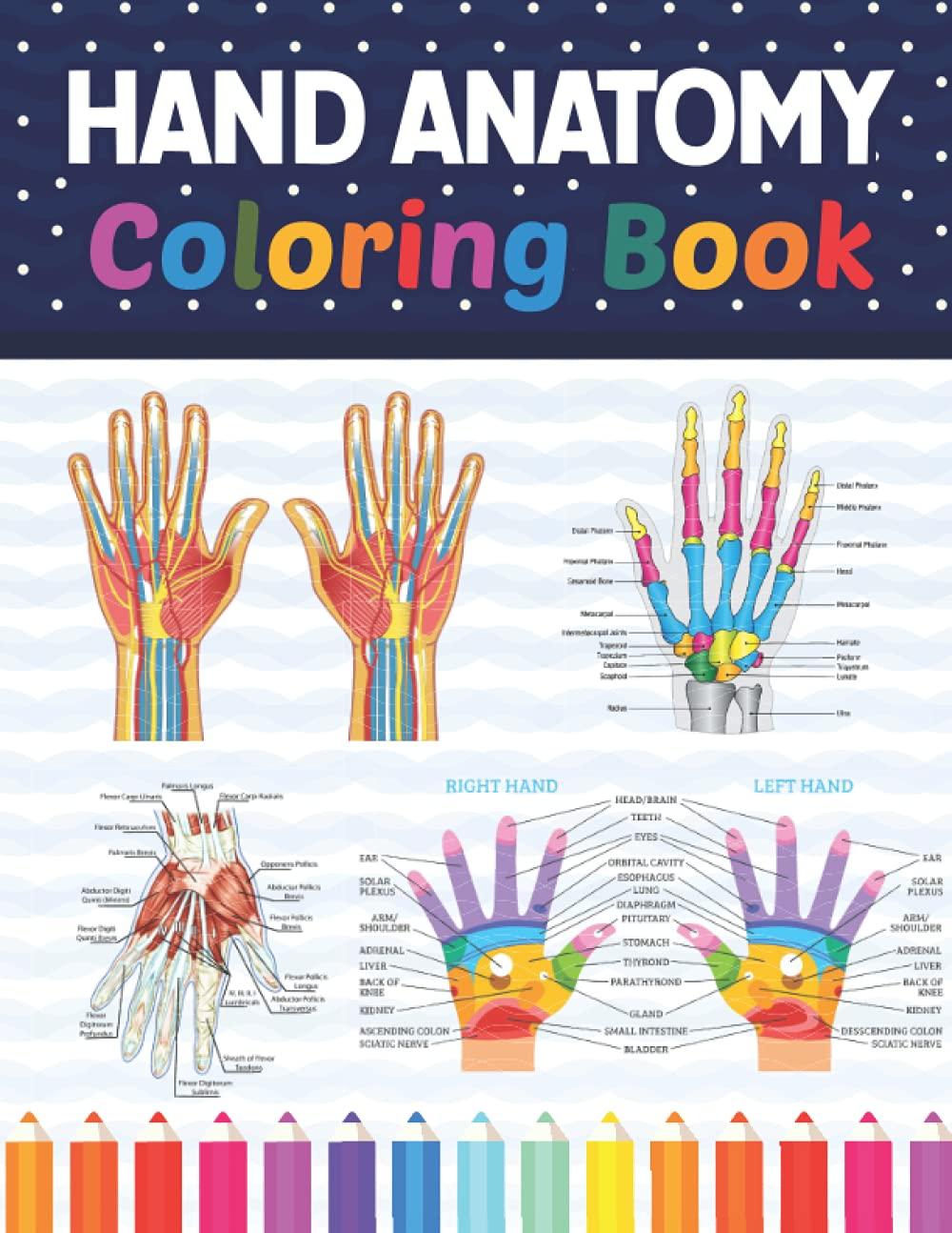 Hand Anatomy Coloring Book: Incredibly Detailed Self-Test Human Hand Anatomy Coloring Book for Anatomy Students | The Human Hand Anatomy self test ... Coloring Book. Anatomy Book Of Human Hand.