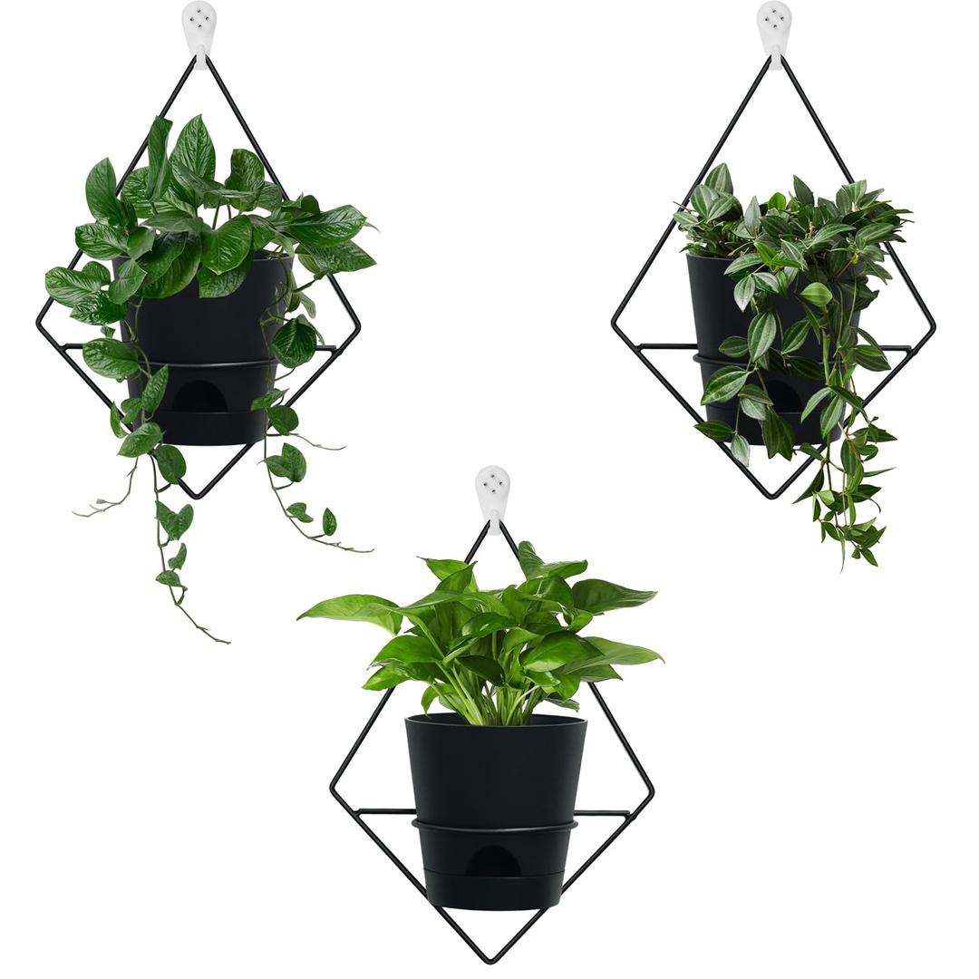 3 Sets of Wall Planters for Indoor Plants, Hanging Wall Planter with Black Metal Holder, Geometric Self Watering Wall Flower Pots, Wall Mounted Succulent Planter, 5" Black Plant Pot