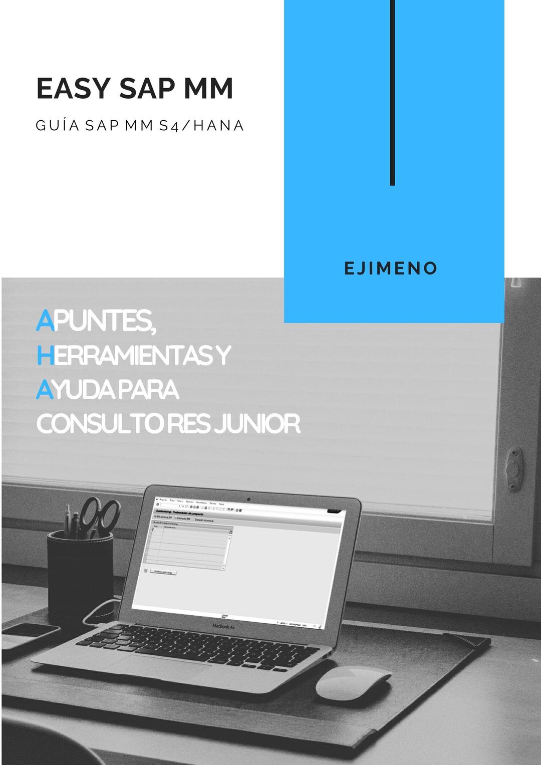 Easy SAP MM: Apuntes, herramientas y ayuda para Consultores Junior MM (Spanish Edition)