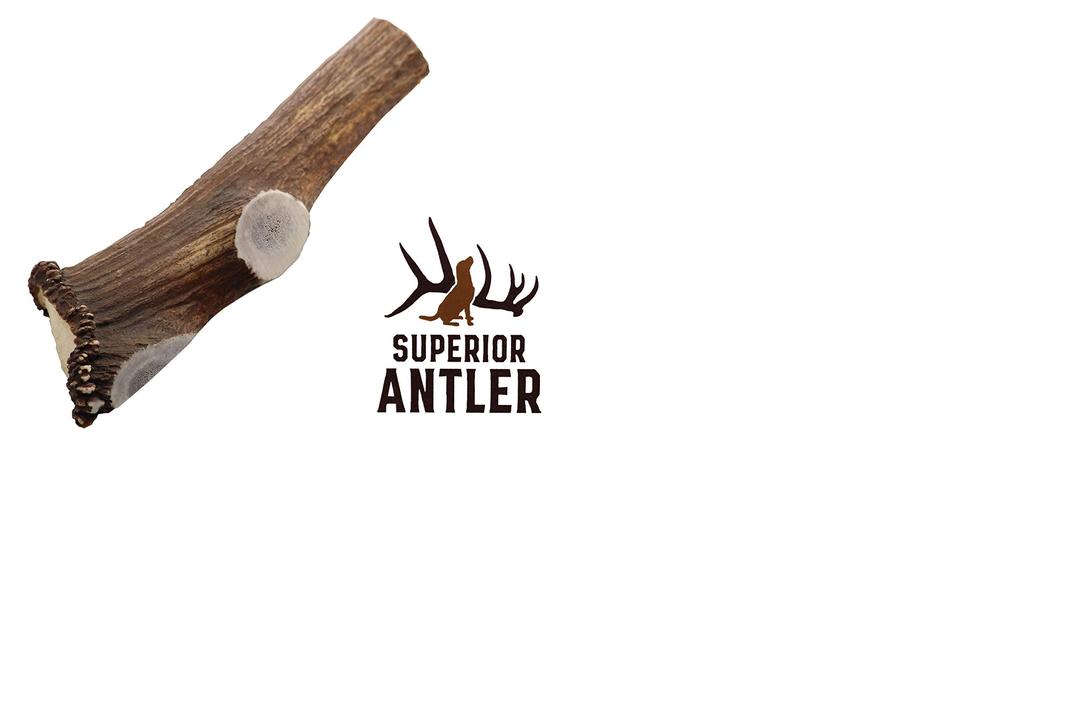 Jumbo Elk Antler Split for Dogs –XXL G Natural Premium Grade A. Antler Chew. Naturally Shed, Hand-Picked, and Made in The USA. NO Odor, NO Mess. GUARENTEED SATISIFACTION. for Dogs 70-90+ Lbs.