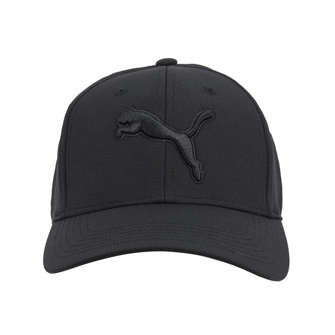 PUMAEvercat Dillon Stretch Fit Cap