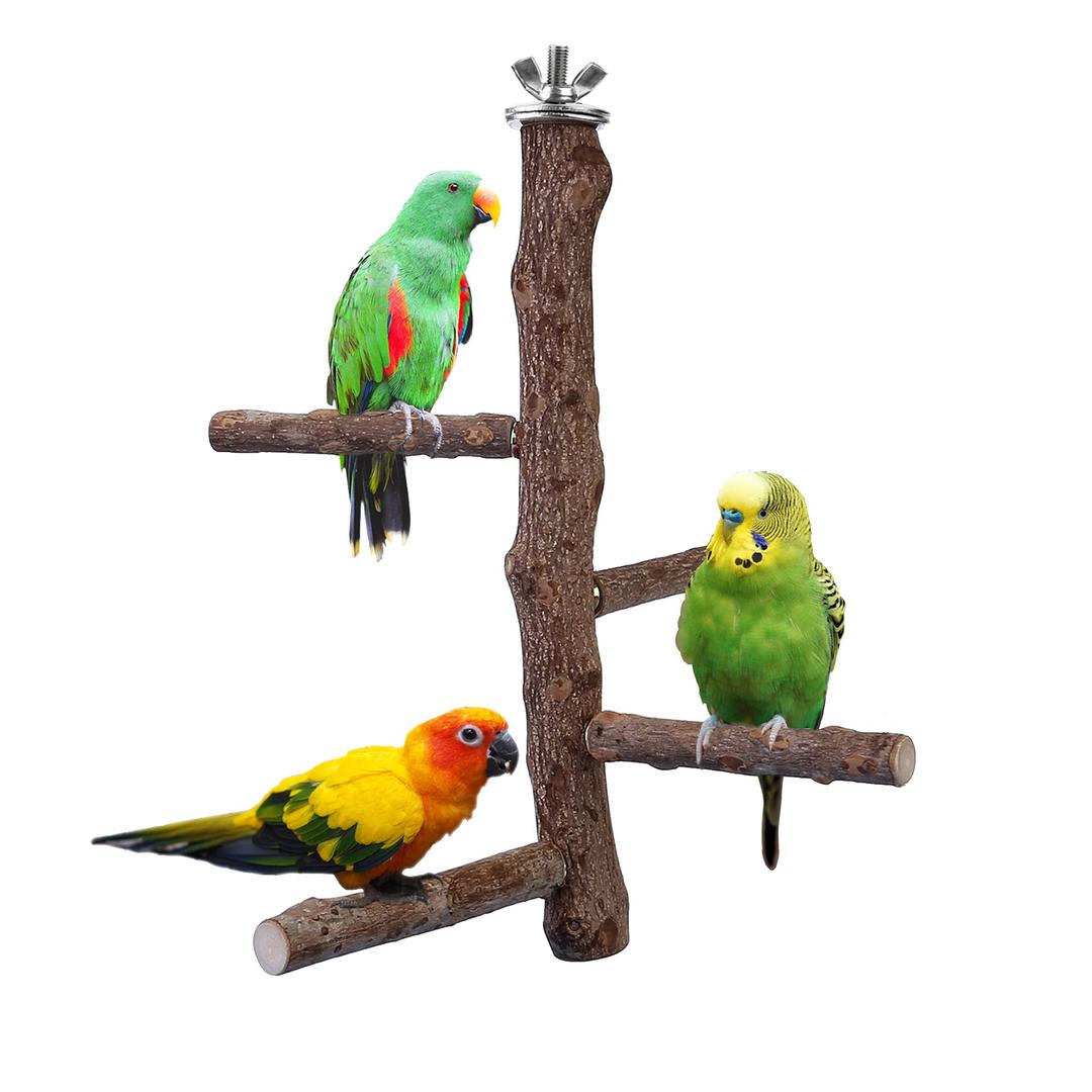 Bird Perch Stand Toy, Natural Wood Parrot Perch Bird Cage Branch Perch Accessories for Parakeets Cockatiels Conures Macaws Finches Love Birds (M: 10" Length)