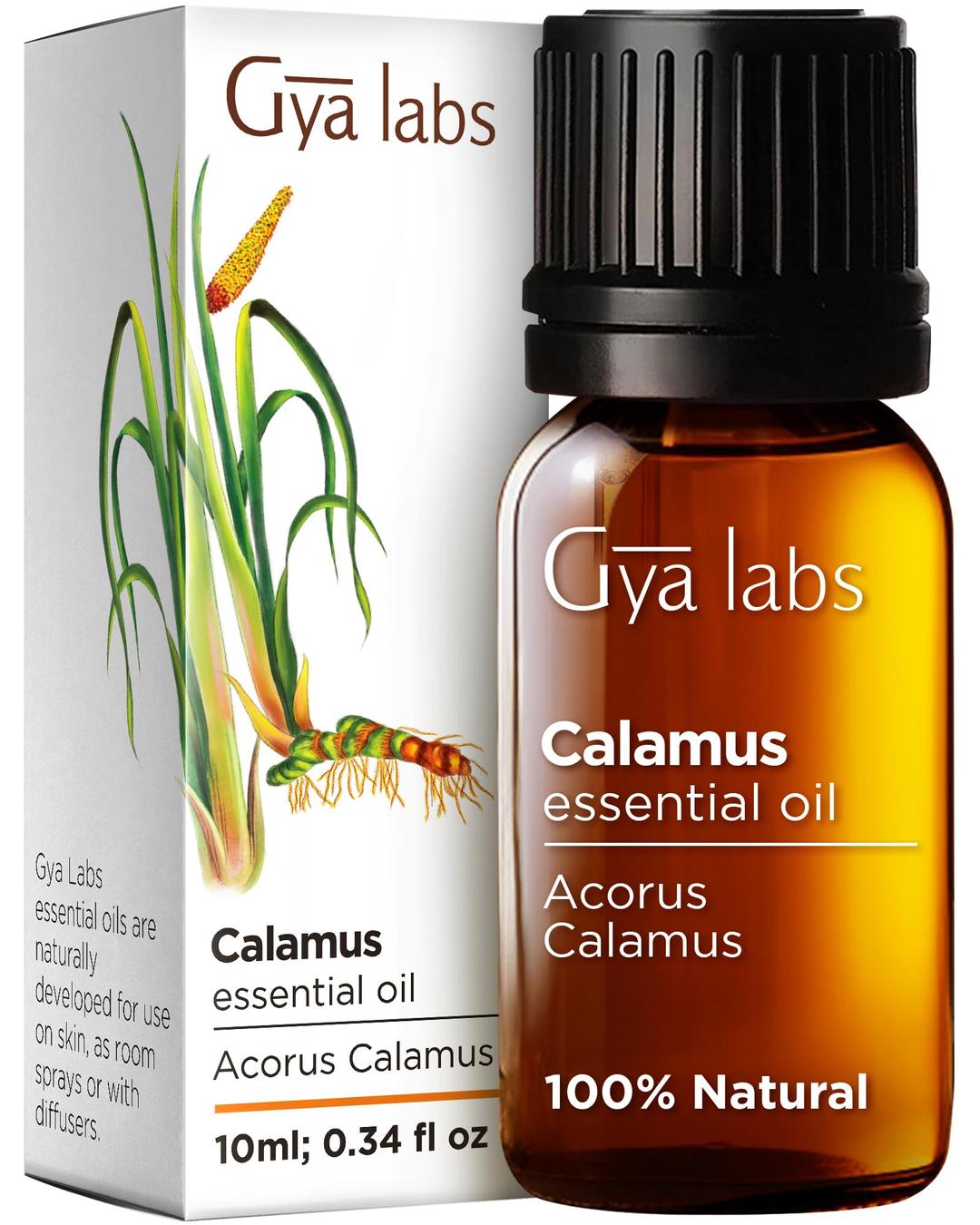 Gya Labs Calamus Essential Oil for Hair - 100% Natural Calamus Oil for Diffuser - Calamus Oil Essential Oil for Skin, Aromatherapy, Candle Making & Massages - Earthy, Woody, Spicy Scent (0.34 Fl Oz)