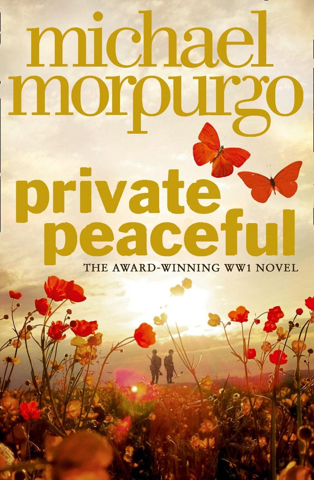 Private Peaceful Paperback – 2 Jun. 2016