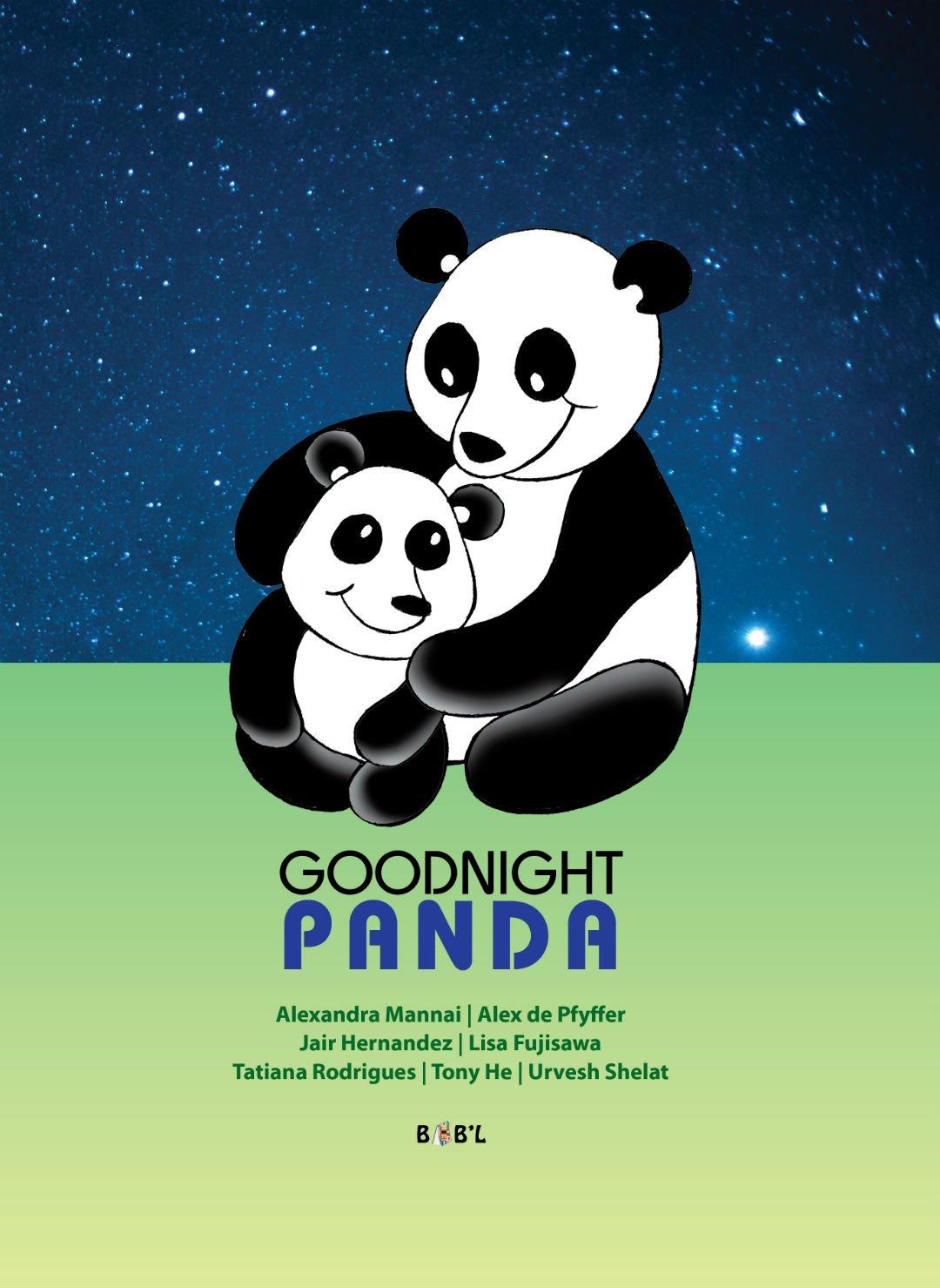 Goodnight Panda (French & English - Dual Text) (French Edition)