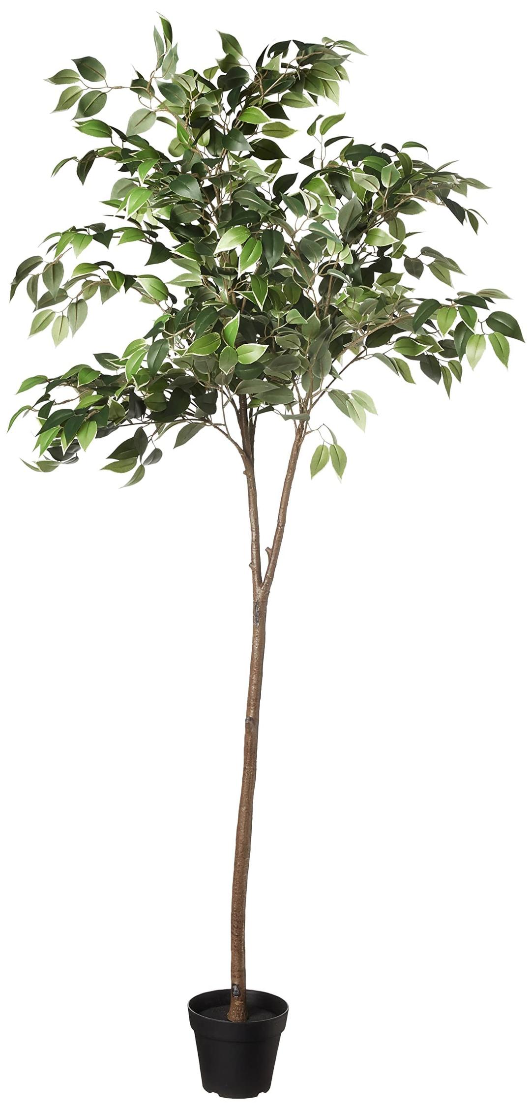 Amazon Basics Artificial Ficus Tree Fake Plant with Plastic Planter Pot, 63 Inch, Green