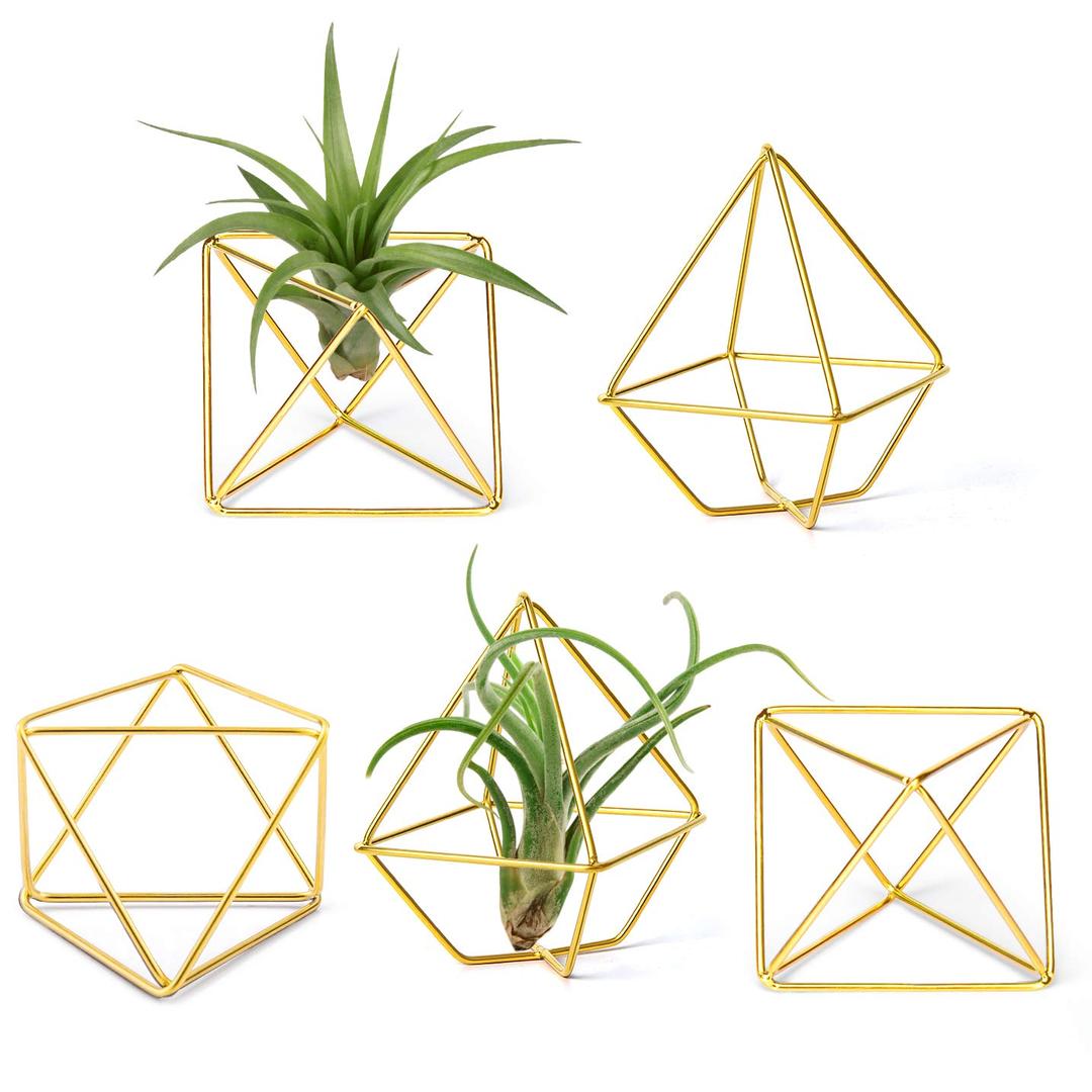 Mkono 5 Pack Air Plant Holder Metal Himmeli Decor in 2 Shapes, Gold