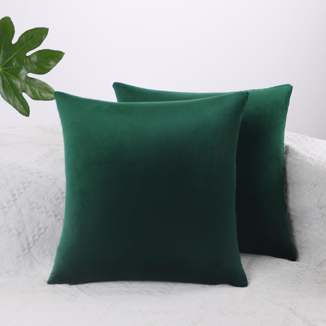 Dark Green Throw Pillow Covers 18x18 Inch Pack of 2 for Couch Living Room Bed Bedroom Soft Velvet Square Emerald Forest Hunter Throw Pillow Cover Set of 2