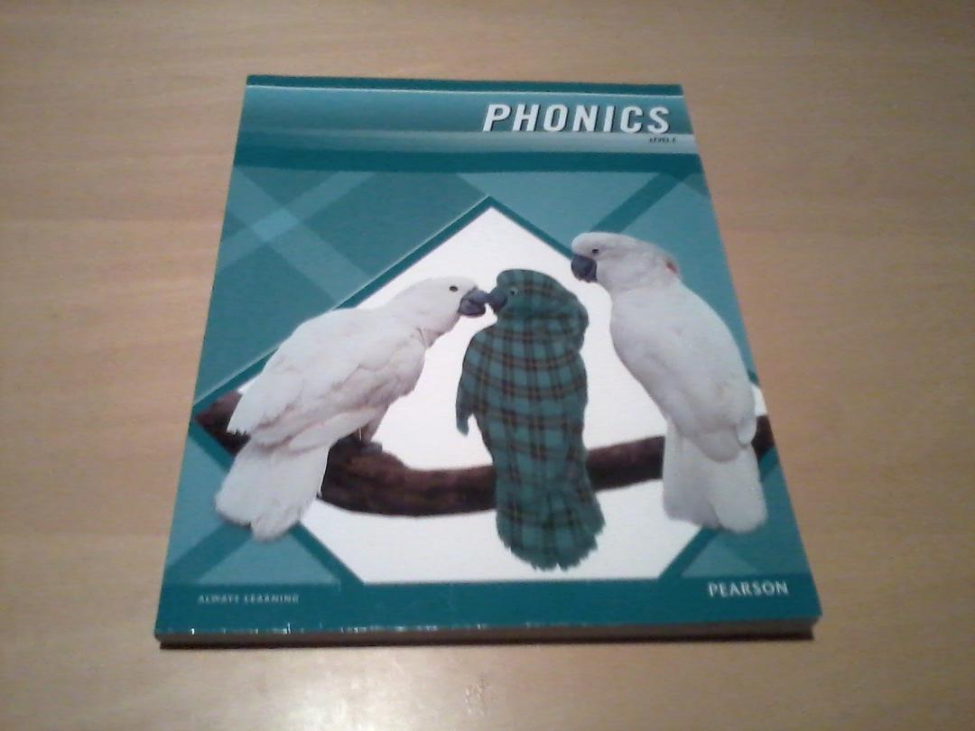 PLAID PHONICS 2011 WORD STUDY STUDENT EDITION LEVEL E Paperback – January 1, 2011