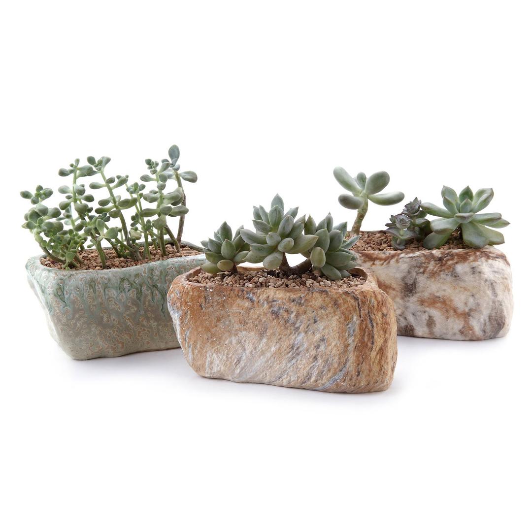 T4U 5.5 Inch Ceramic Succulent Pot Planter with Drainage Hole Set of 3, Stone Shape Rectangle Window Box Cactus Plant Containers Gift for Mom Sister Best for Home Office Table Desk Decoration