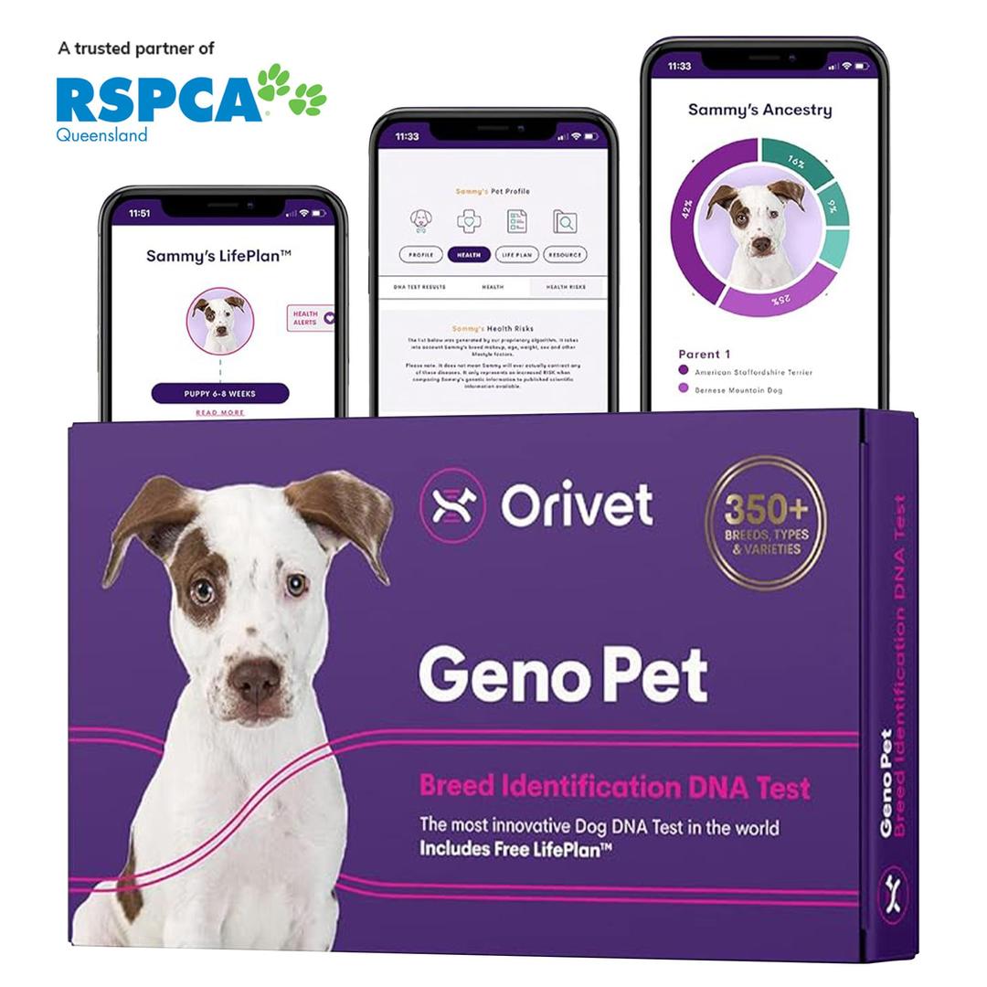 ORIVETGenopet Dog DNA Test | Dog Breed Test Kit, Genetic Testing, Heritable Health Risks and Life Plan