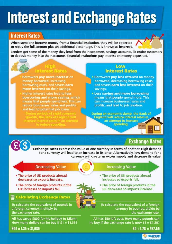 Interest and Exchange Rates | Business Posters | Laminated Gloss Paper Measuring 33” x 23.5” | Business Class Posters | Education Charts by Daydream Education