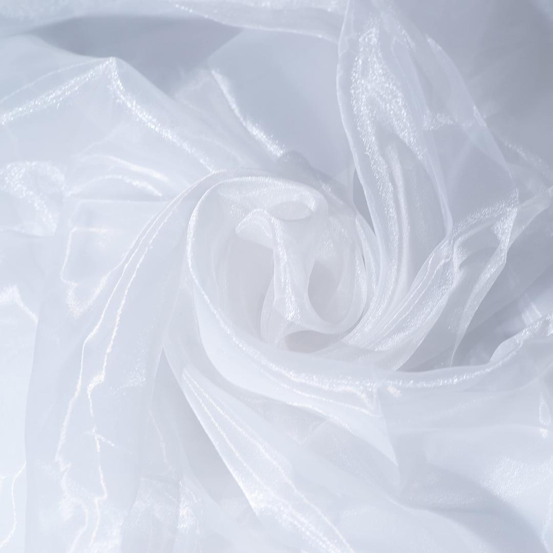 Fynite Sheer Organza Fabric | 2 Yards Long | 44" Wide | Bridal Solid Sheer Organza Bolt for Wedding Dress Fashion Craft Decorations Silky Shiny Sheer Organza - White