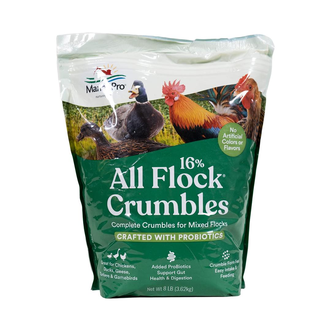 Manna Pro All Flock Crumbles | 16% Protein Level | Complete Feed for Chickens, Ducks, Geese, Turkeys and Gamebirds | Probiotics to Support Digestion | Crumbled Form for Easy Feeding | 8 Pounds