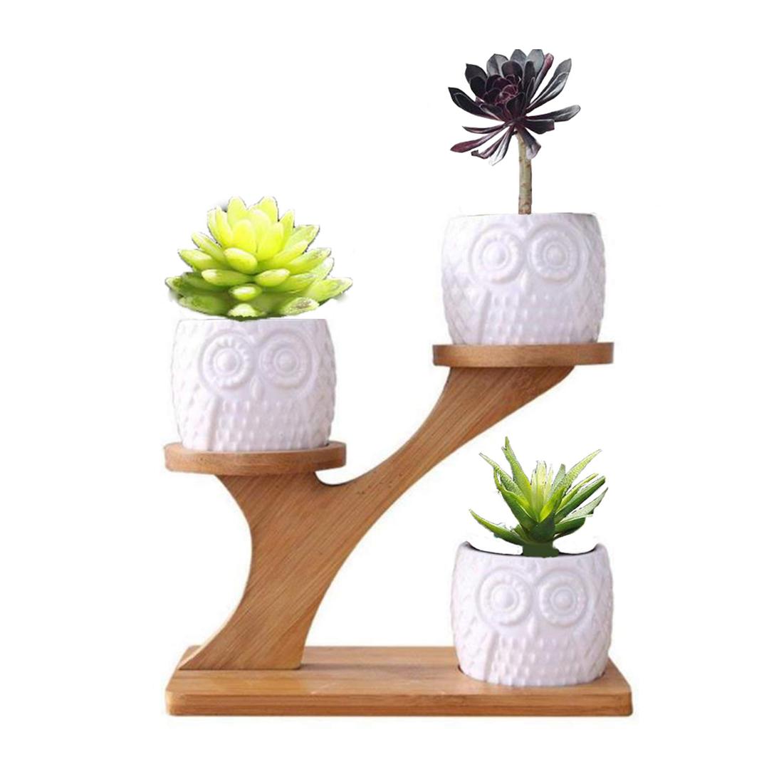 MINGZE3 Pack Owl Succulent Ceramic Plant Pots for Home Office Desk (With Wooden Stand), Succulent Combination Potted Flower Pot, Succulent Ceramic Pot