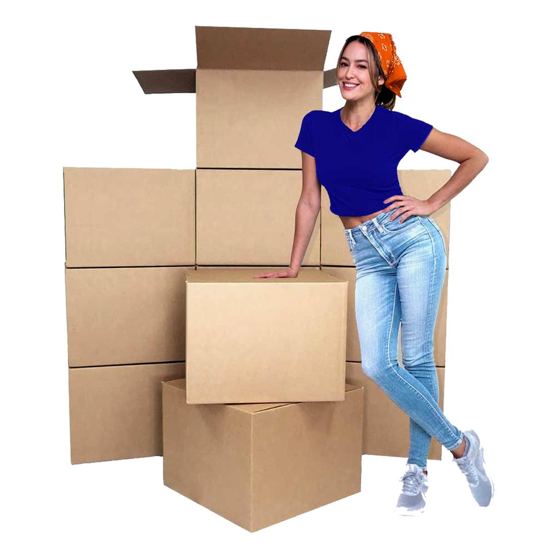 Basic Large Cardborad Boxes, Pack of 12-20" x 20" x 15" - Cheap Cheap Moving Boxes