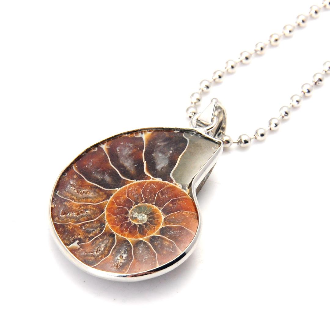 Charm Handmade Natural Conch Fossil Ammonite by Silver Wrapped Pendant Necklace (1 PCE).