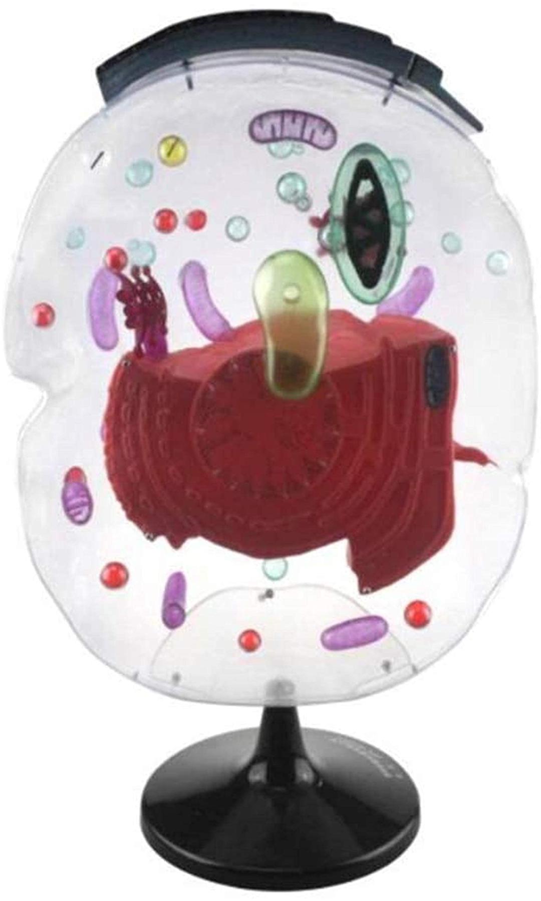 KEZaiZHe Anatomy Education Model - Cell Submicroscopic Structure Models - Zoom in 20,000 Times Eukaryotic Cell Anatomy Model - Animal Anatomy Science Models for Medical Educational Training Aid