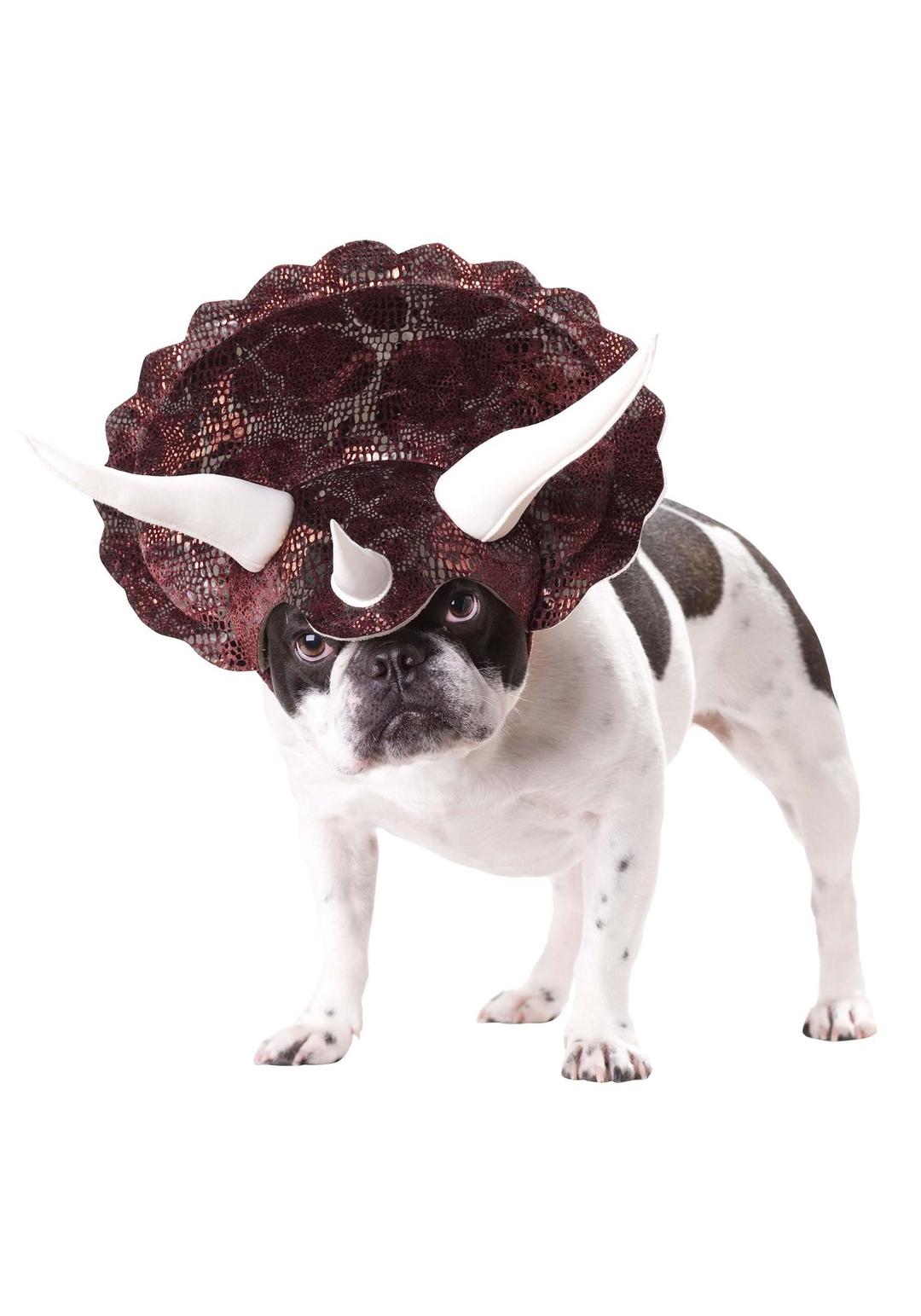 California Costumes Animal Planet Triceratops Dog Costume, X-Large