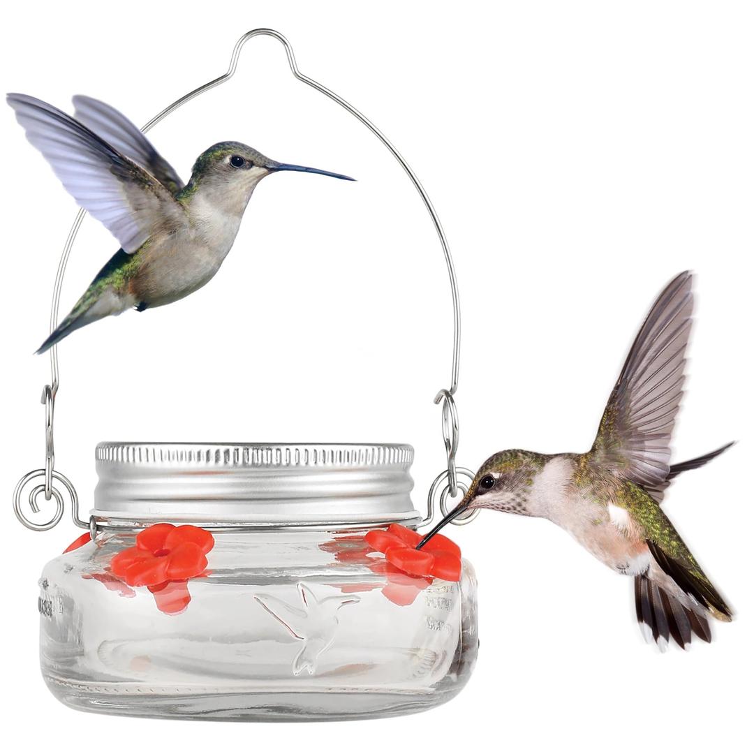 Nature's WayBird Products MJF1 Nature's Way Mason Jar Hummingbird Dish Feeder, Clear 4.5" dia.