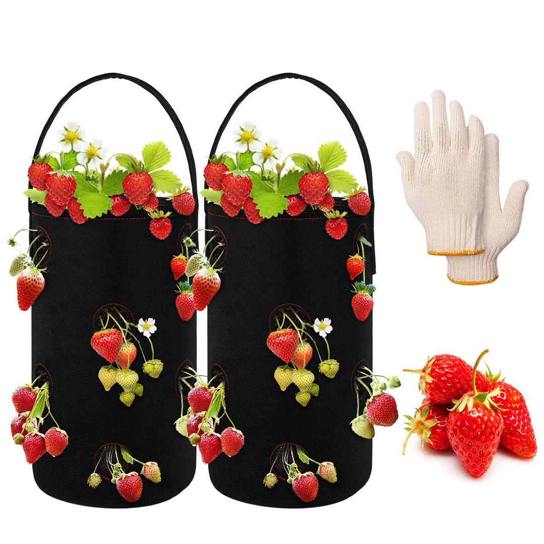 ANBET 2 Packs Strawberry Planting Grow Bags, Hanging Non-woven Strawberry Planter Growing Bag with 11 Holes with 1 Pairs Gloves for Garden Plants Herbs Flowers