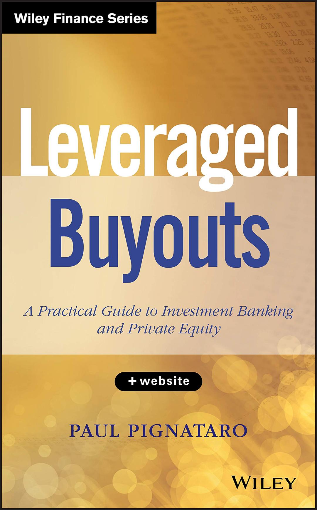 Leveraged Buyouts: A Practical Guide to Investment Banking and Private Equity + Website