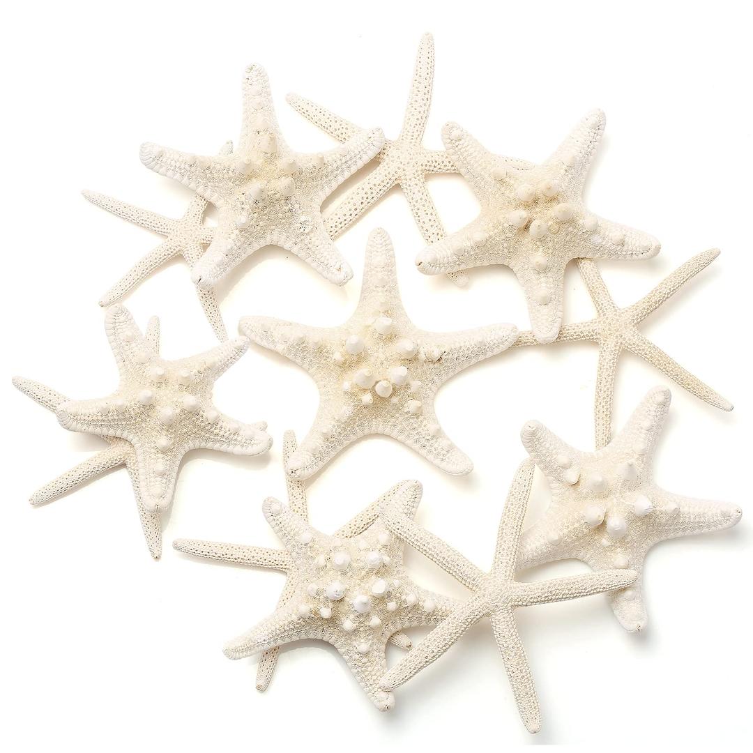 12 PCS Starfish | 2.5-6 Inch Starfish Decor | Natural Bulk Starfish Shells Perfect for Crafts Making Beach Theme Party Wedding Decoration, Home Wall Decor, Christmas Ornaments, Fish Tank