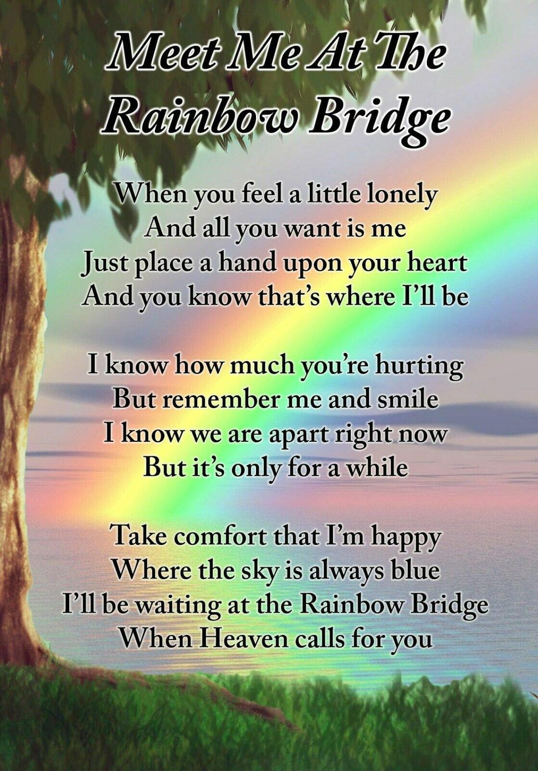 Lisa's Gifts Meet Me at The Rainbow Bridge Dog Pet Memorial Graveside Funeral Poem Keepsake Card Includes Free Ground Stake F396