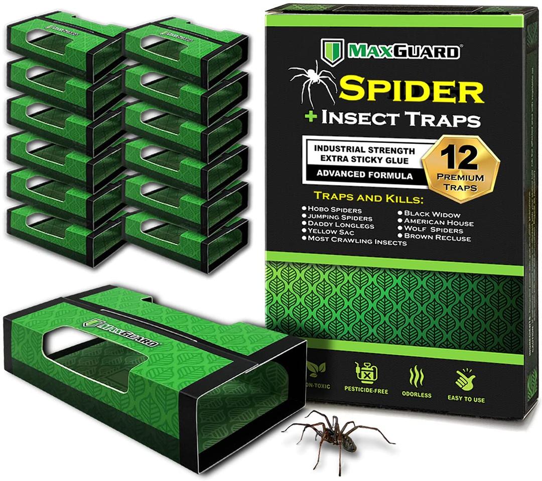 MaxGuard Spider + Insect Traps (12 pcs Box Trap) | Non-Toxic Extra Sticky Glue Traps, Kill Black Widow Hobo Brown Recluse Spiders and Other Crawling Bugs & Insects |