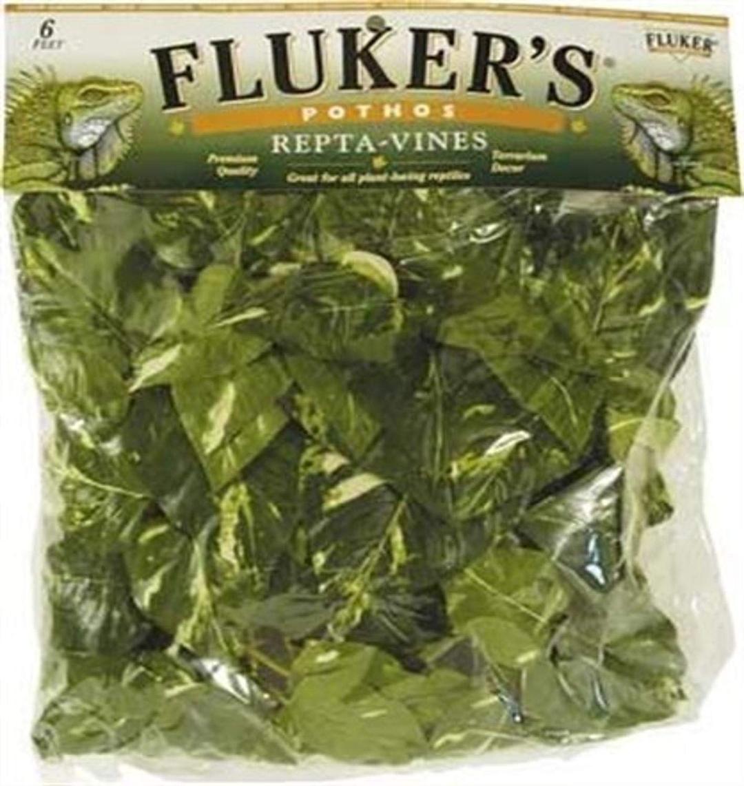 Fluker'sRepta Vines for Reptiles and Amphibians Terrariums, Pothos