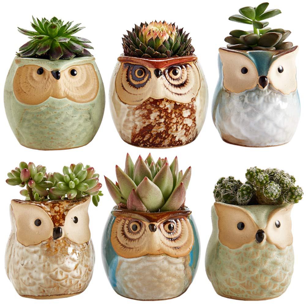 Owl Pot Ceramic Flowing Glaze Base Serial Set Succulent Plant Pot Cactus Plant Pot Flower Pot Container Planter with Drainage Hole Home Office Desk Garden Gift Idea 6pcs 2.5 Inch