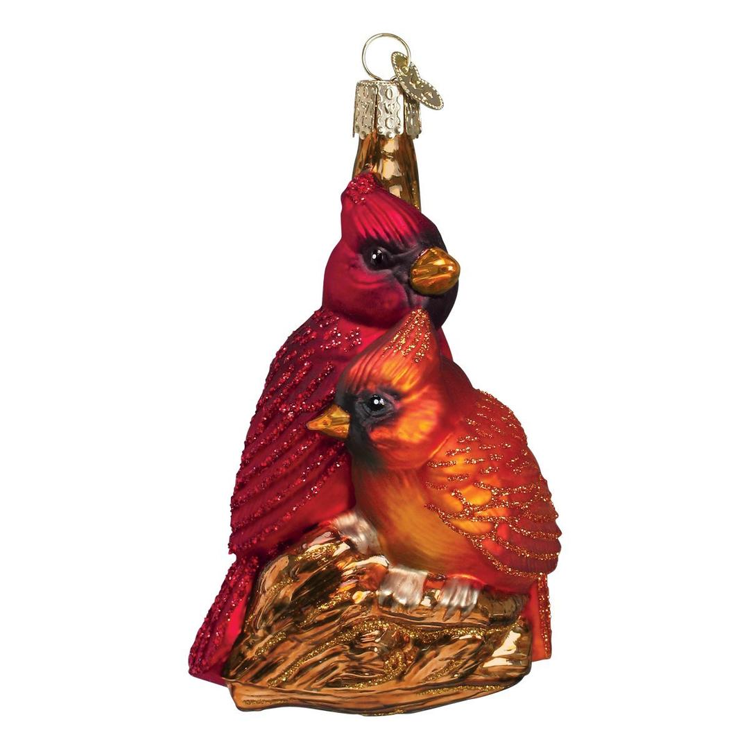 Old World Christmas Pair Bird Watcher Collection Glass Blown Ornaments for Christmas Tree,Northern Cardinal