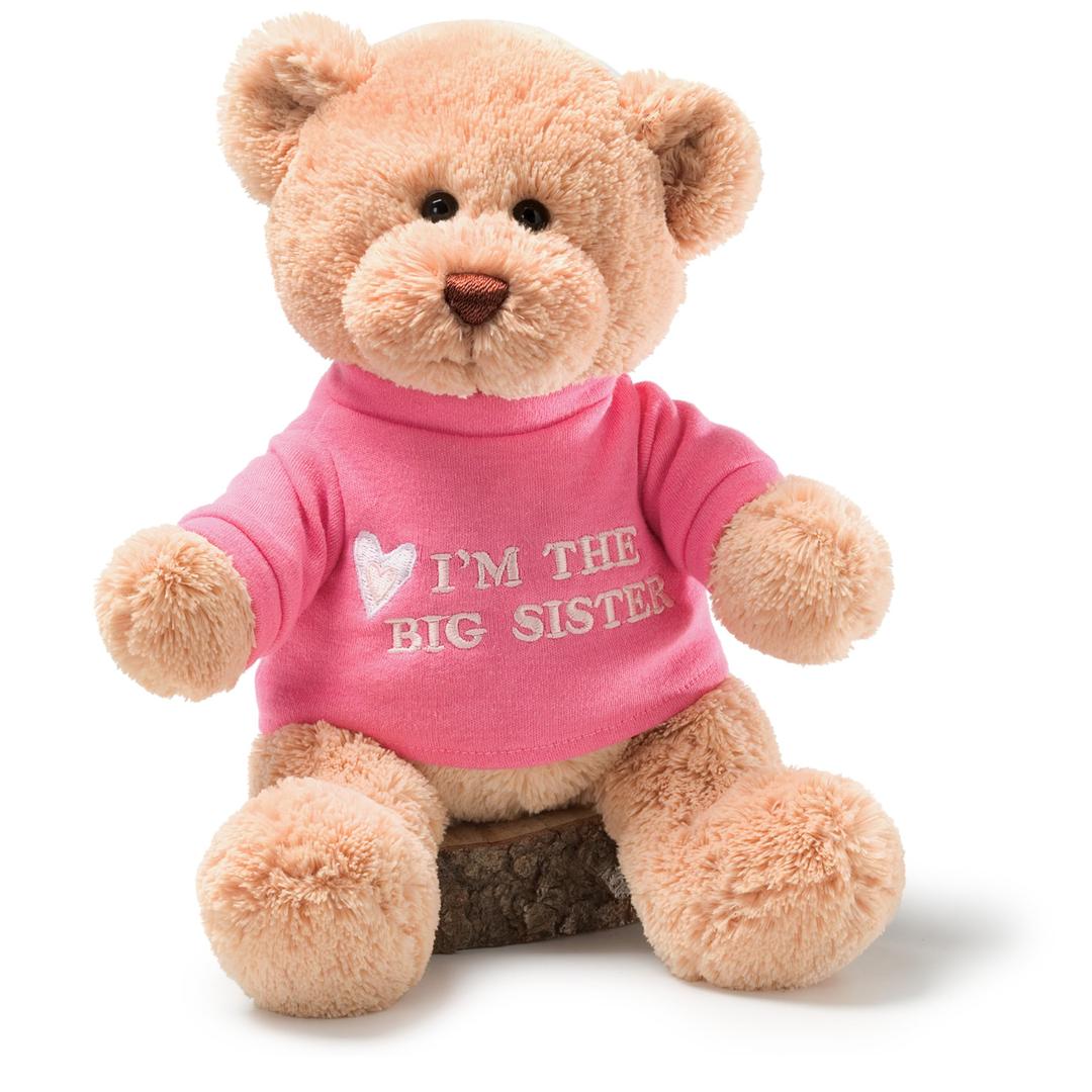 GUND “I’m The Big Sister” Message Bear with Pink T-Shirt, Teddy Bear Stuffed Animal for Ages 1 and Up, Brown, 12”