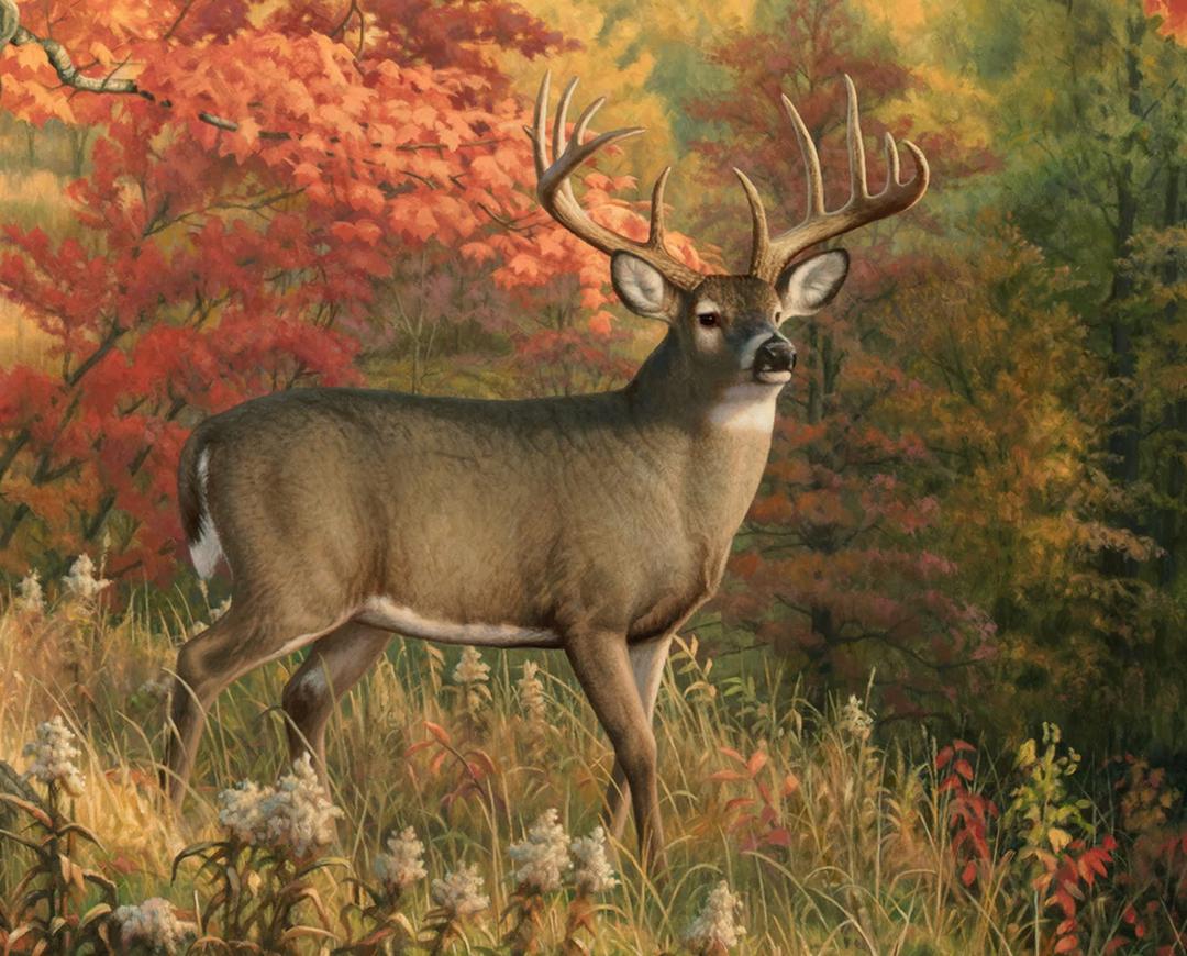 The Fall Beauty Panel Fabric Deer Buck Animal 36"X44" Cotton David Textiles AS 0040