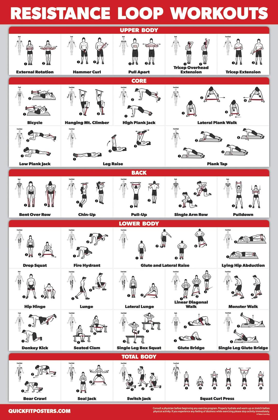 QUICKFIT Resistance Loop Bands Workout Poster - LAMINATED - Exercise Chart for Resistance Band Loops - 18" x 24"