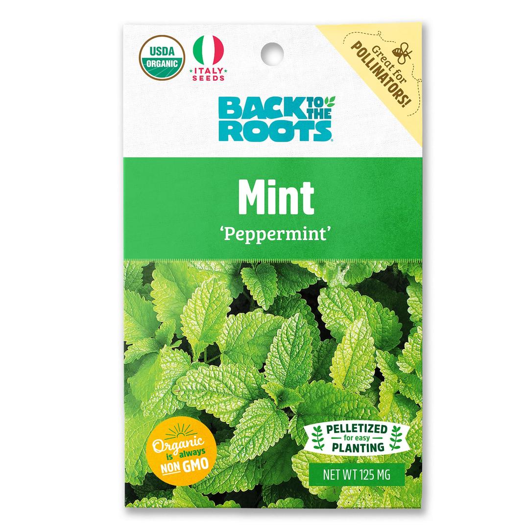 Back to the Roots Mint 'Peppermint' Seed Packet, 125mg, Green