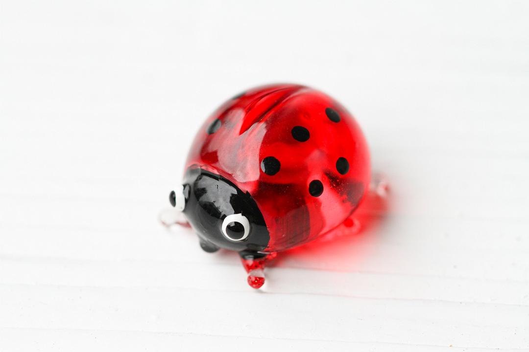 redchocol8(R Tiny Mini Glass Ladybirds Red Quality Mini Small Gloss Deco Pot Ornament Garden Ladybug Terrariums