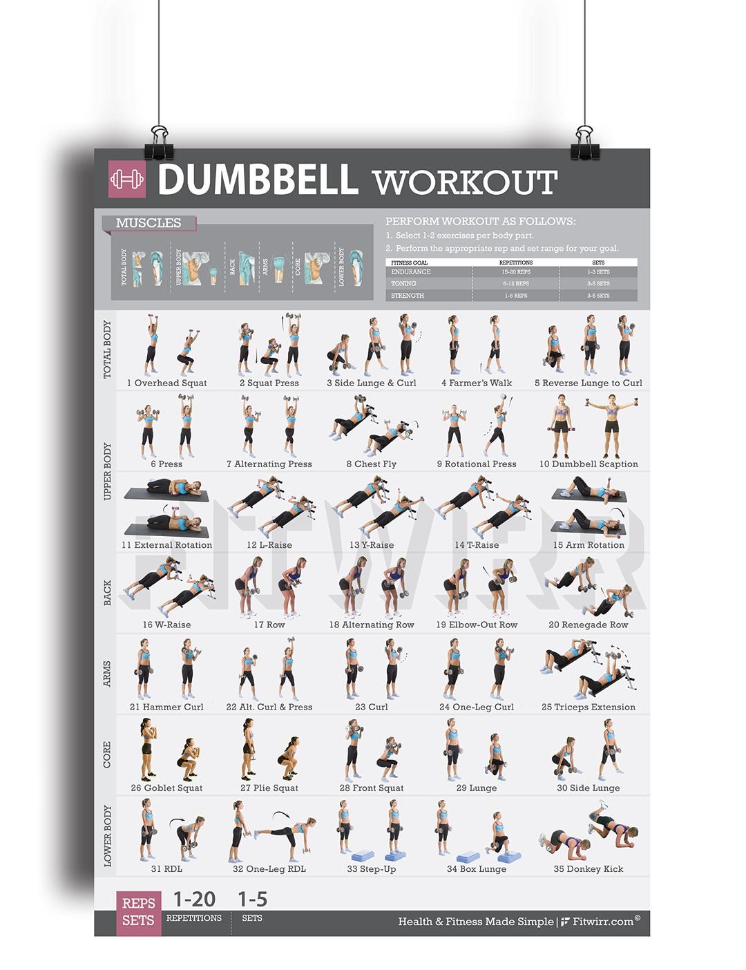 Dumbbell Exercise Workout Poster for Women - Laminated - Exercise for Women - Leg, Arm, Exercises - Home Gyms - Fitness Chart - Resistance Training Exercises - Total Body Workout Exercise Poster