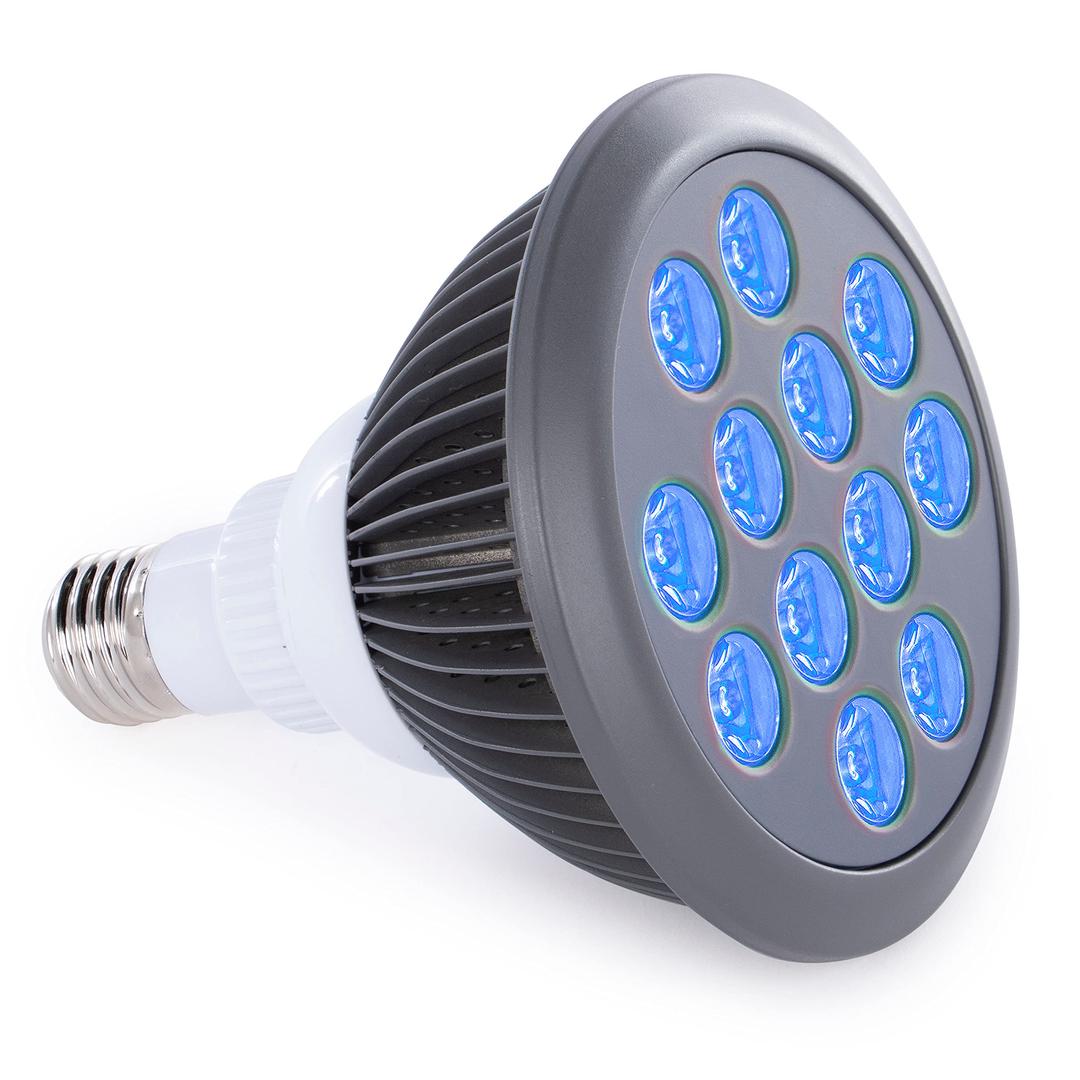 hooga Blue Light Therapy Bulb Power Cord Included. 415 nm Wavelength. 12 LEDs. High Irradiance, Treatment for Acne and Sun Damage. Can Improve Skin Texture and Tigthen Skin.