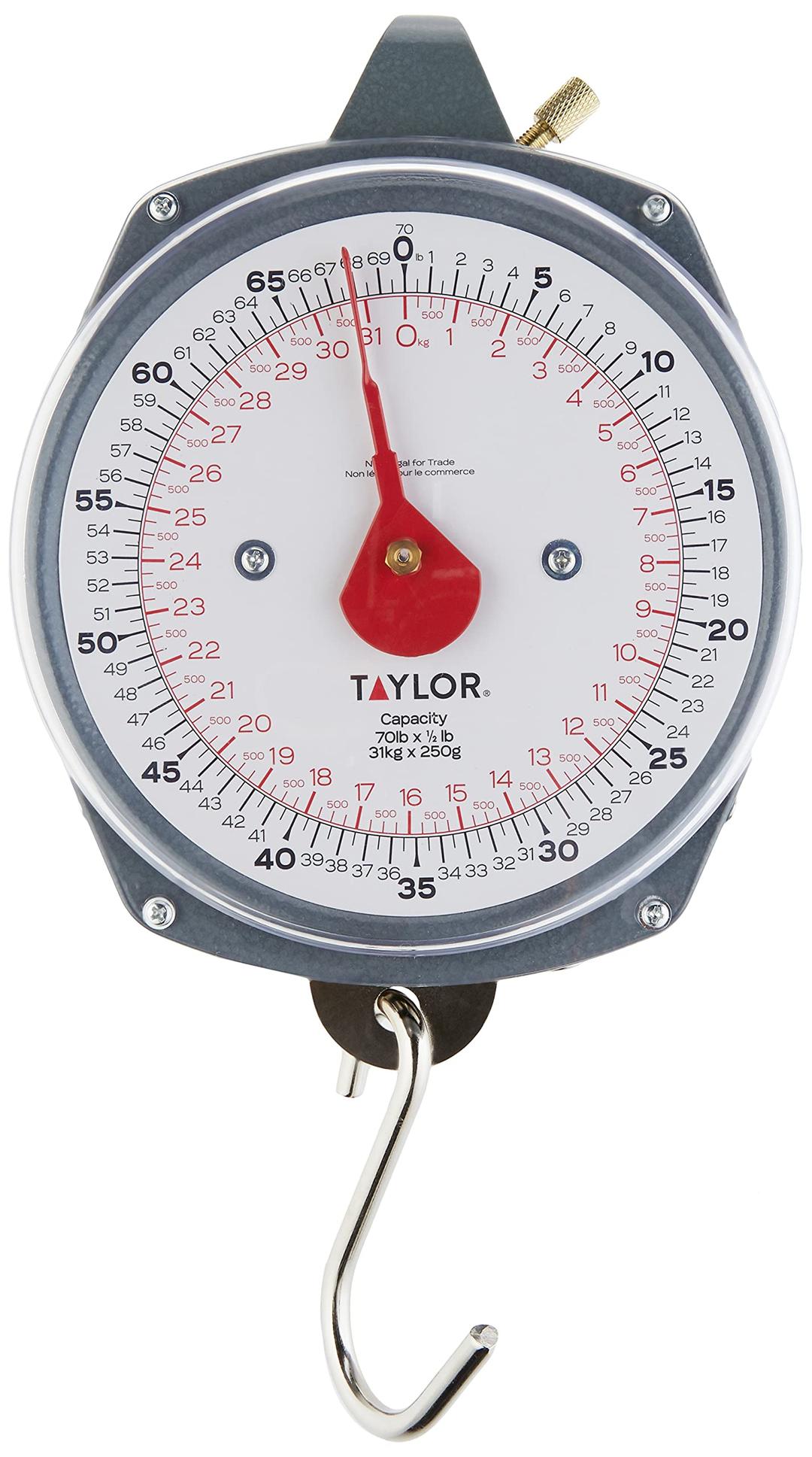 Taylor Dial Style 70-Pound Industrial Hanging Scale