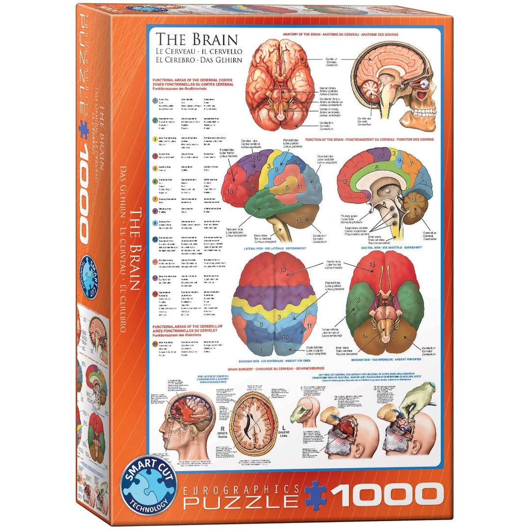 EuroGraphics6000-0088 Jigsaw Puzzle, 48.8 x 67.6 x 0.2 centimetres