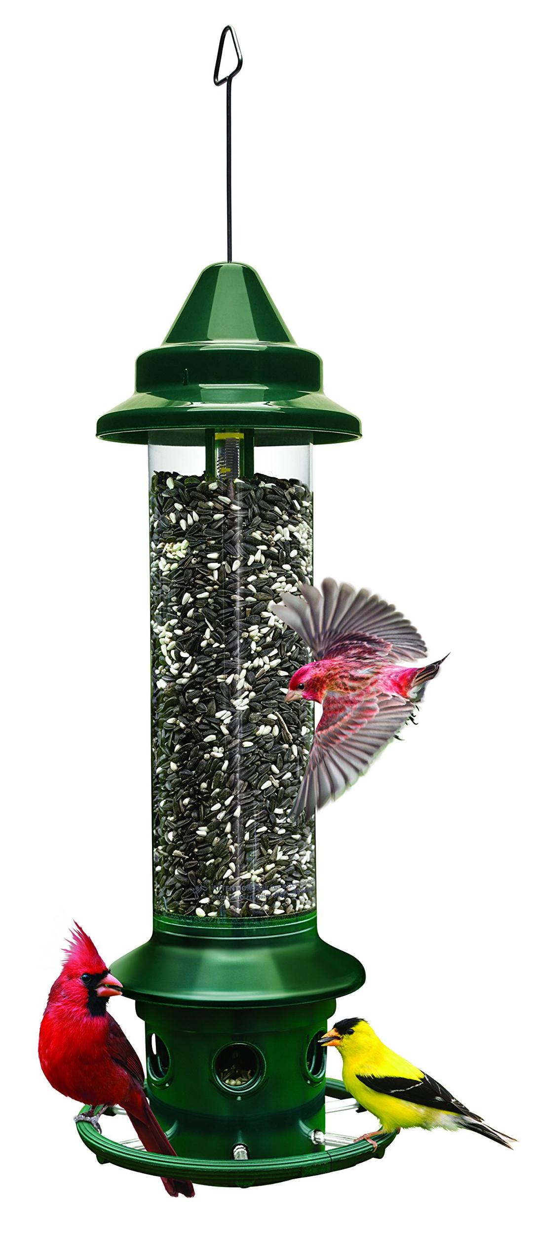 Squirrel Buster Plus Squirrel-proof Bird Feeder w/Cardinal Ring and 6 Feeding Ports, 5.1-pound Seed Capacity, Adjustable, Pole-mountable (POLE ADAPTOR SOLD SEPARATELY), Green