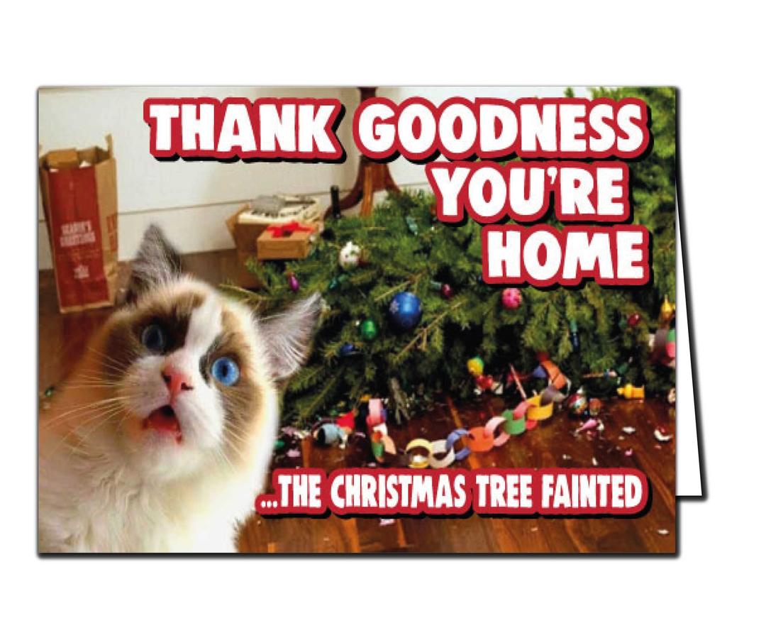 Funny Xmas Card - Cat Christmas Card with Cat and Christmas Tree for Cat Lovers | Perfect for Partner, Friend, or Family | "From the Cat" Holiday Card | XM362