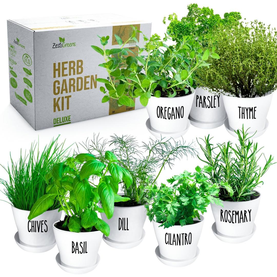 Deluxe Herb Garden Kit - 8 Variety Herbs for Indoor & Outdoor – Get Growing with Pots, Potting Soil for Window Herb Garden. (8 Set Deluxe herb kit)