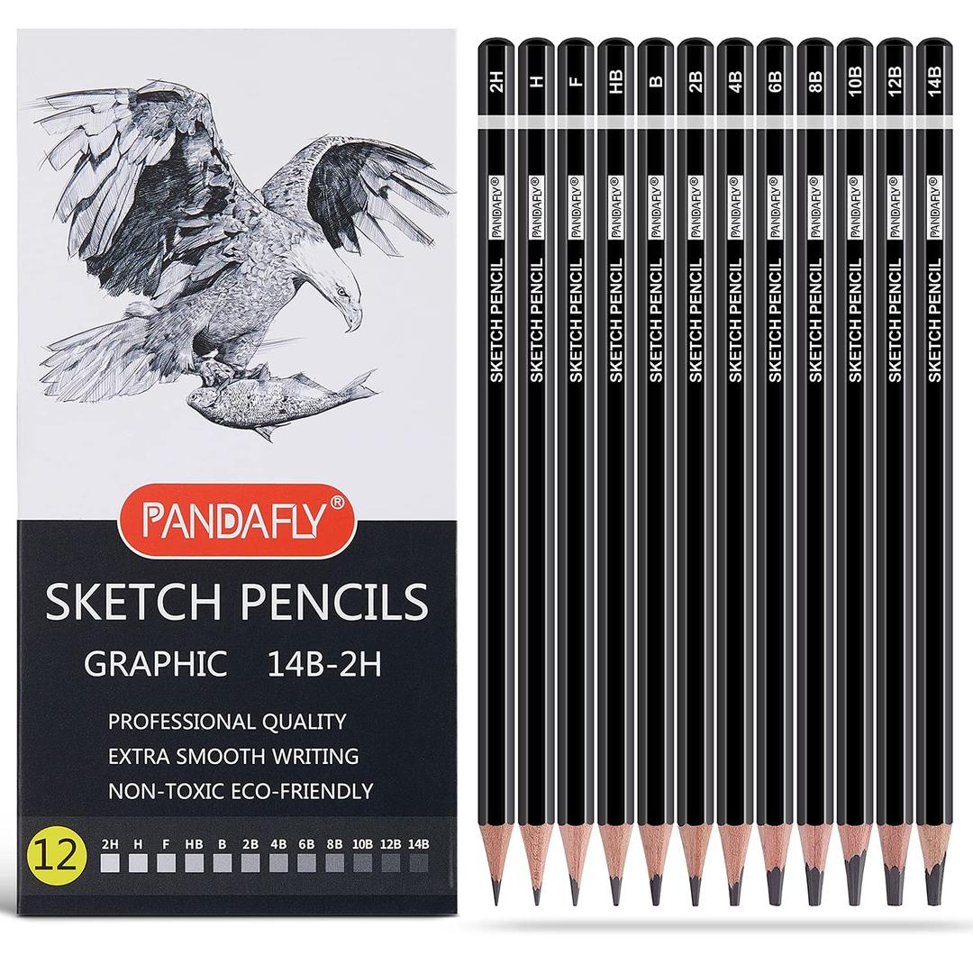 PANDAFLY Professional Drawing Sketching Pencil Set - 12 Pieces Graphite Pencils(14B - 2H), Ideal for Drawing Art, Sketching, Shading, Artist Pencils for Beginners & Pro Artists