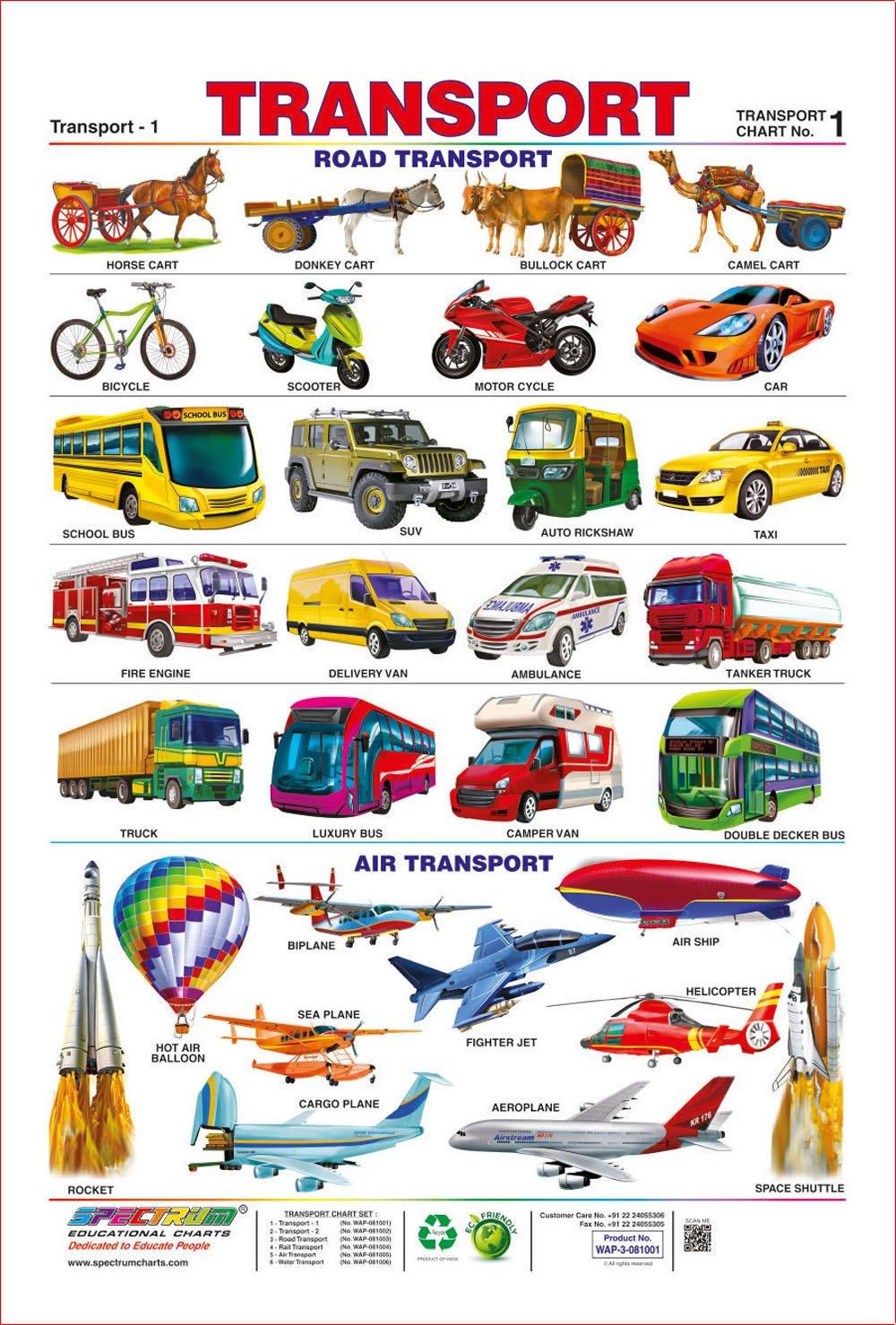 Spectrum Pre-School Kids Classroom Laminated Transport Name Wall Hanging Chart