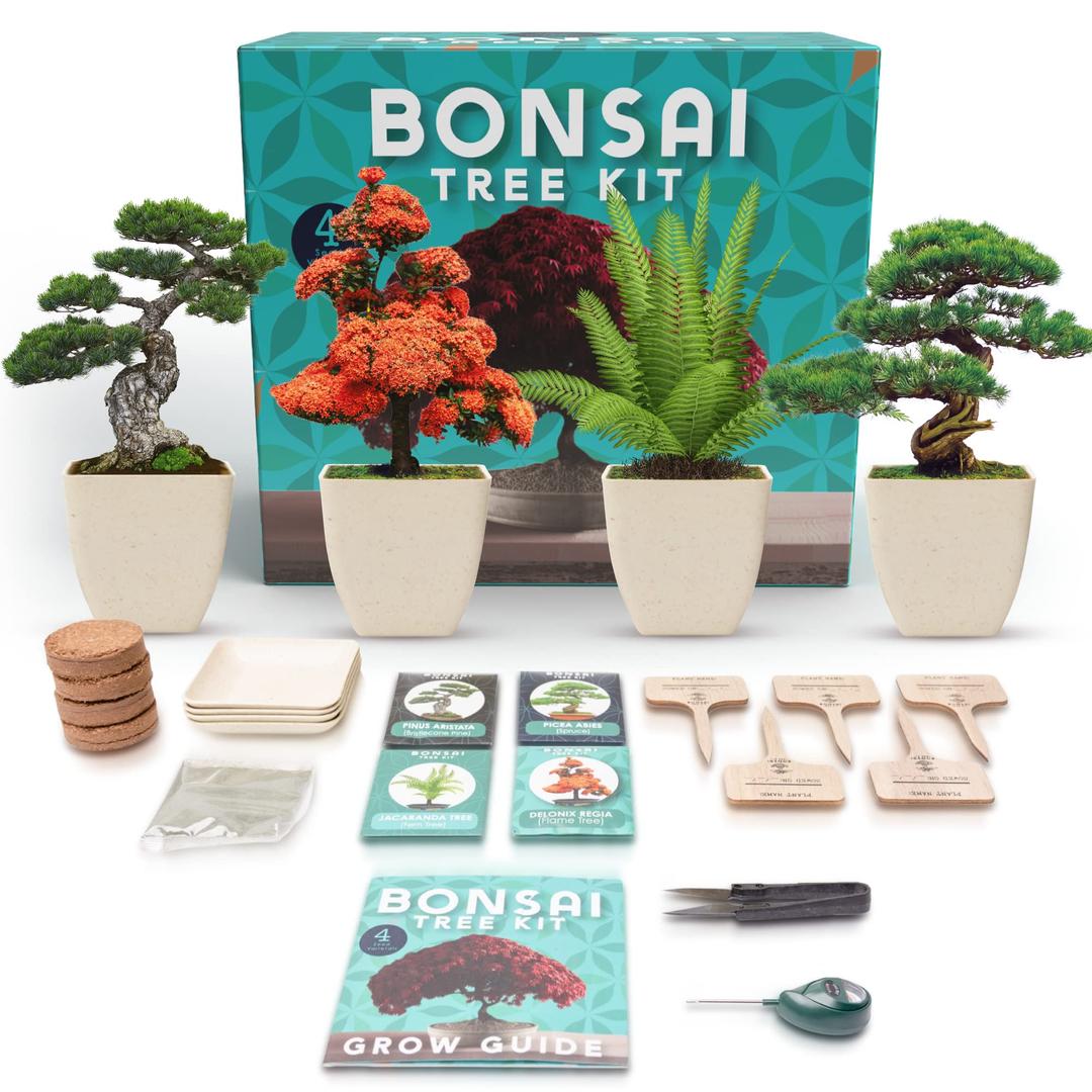 Envy Prime Bonsai Tree Starter Kit - 4-Seed Variety, Eco-Friendly Pots, Grow Guide - Ideal DIY Gardening Gift