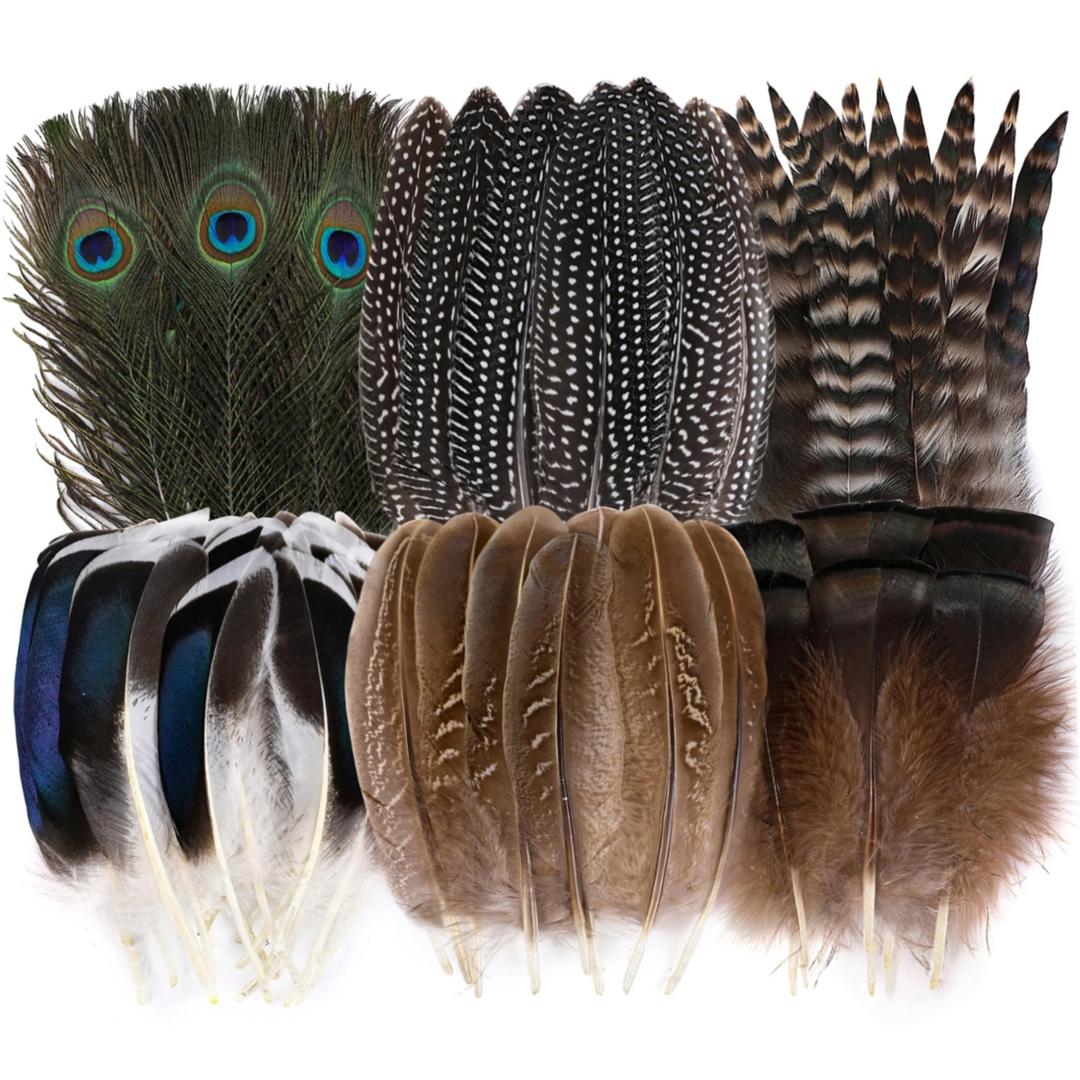 Holmgren 48pcs Natural Feathers Bulk - 6 Styles 48pcs Assorted Natural Feathers, Peacock Feathers, Pheasant Feathers, Turkey Feathers for Craft DIY Jewelry Hat Wedding Home Party Decoration