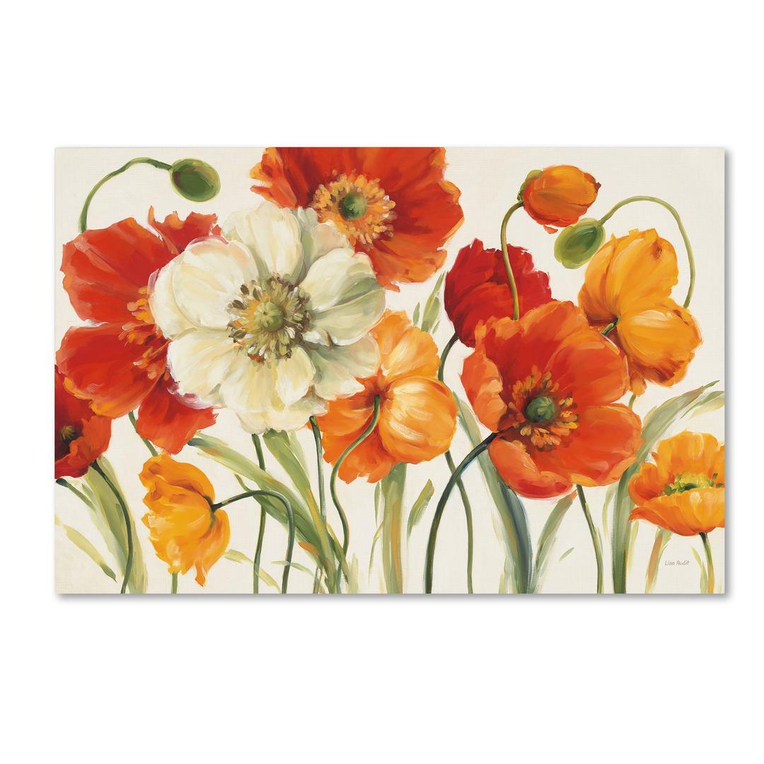 Trademark Fine Art ' Poppies Melody I ' Canvas Art by Lisa Audit 16x24